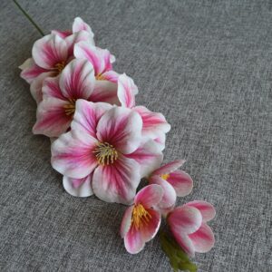 pink fehér magnólia