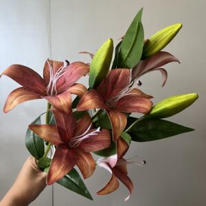 hosszú szárú liliom narancs bordó