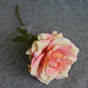 barack sárga rózsa 50 cm