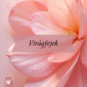 Kezdőlap Virágfejek