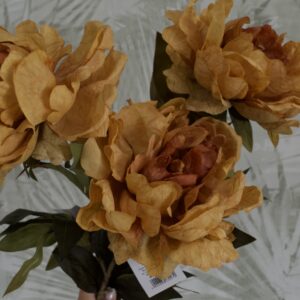 nagy bazsarózsa narancs