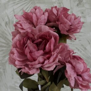 nagy bazsarózsa rózsaszín