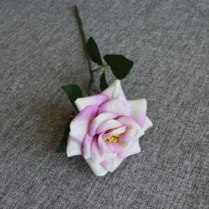 pink fehér színű tearózsa