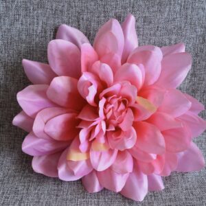 rózsaszín dáliafej