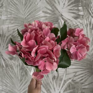 rózsaszín hortenzia