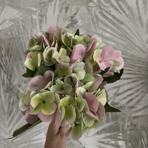 zöld rózsaszín hortenzia