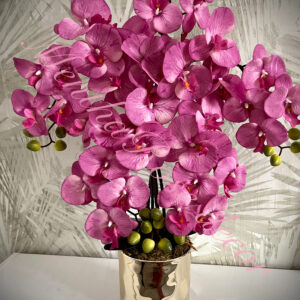 barack színű orchidea kaspóban