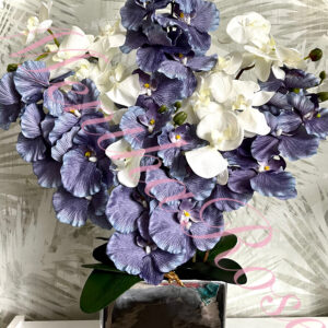 többszínű orchidea kaspóban